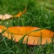 100_1055