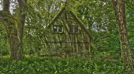 Building Building