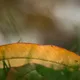 100_1052