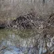 what bridge is this