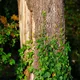 seeread1600x1024