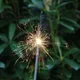 Sparklers15