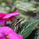pic05436
