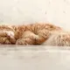 Asleep