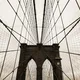 bridge1