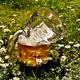 beer_study2