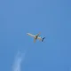 100_1036